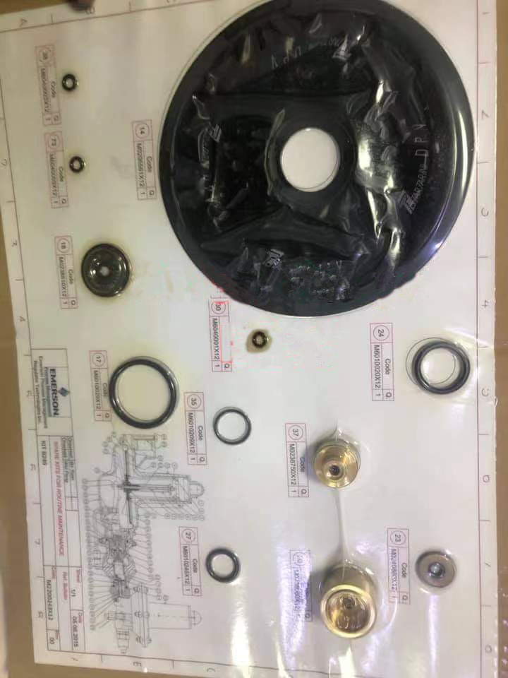 Replace package_Regulator B249 TARTARINI