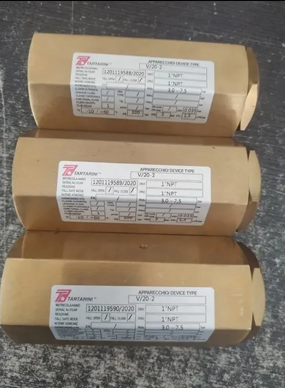 Tartarini V/20 DN50 Pressure Relief Valve for Natural Gas Safety