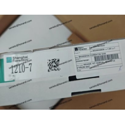 PIETRO FIORENTINIKITS A/400_304