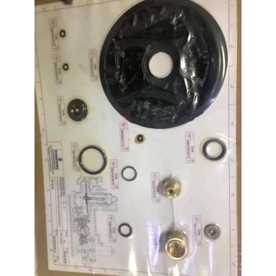 Replace package_Regulator B249 TARTARINI