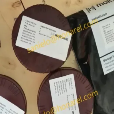 Valve Body Parts RZD-REQX 12" CL900 Mokveld